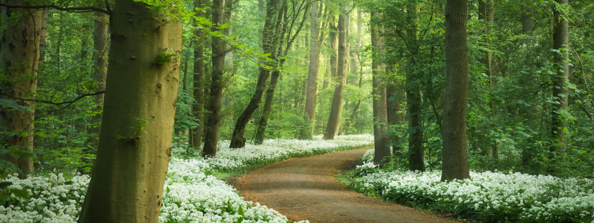 2026 Spring European University Conference cover image